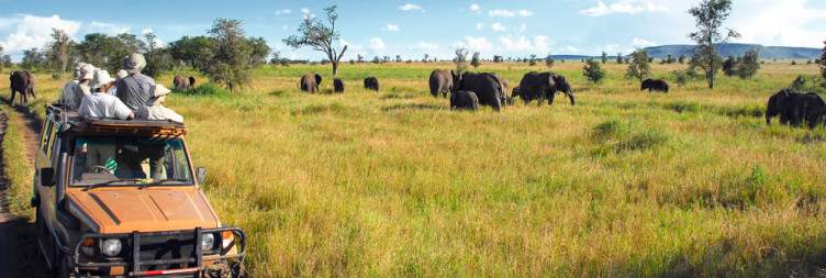 7-Day Tanzania Wildlife Luxury Safari